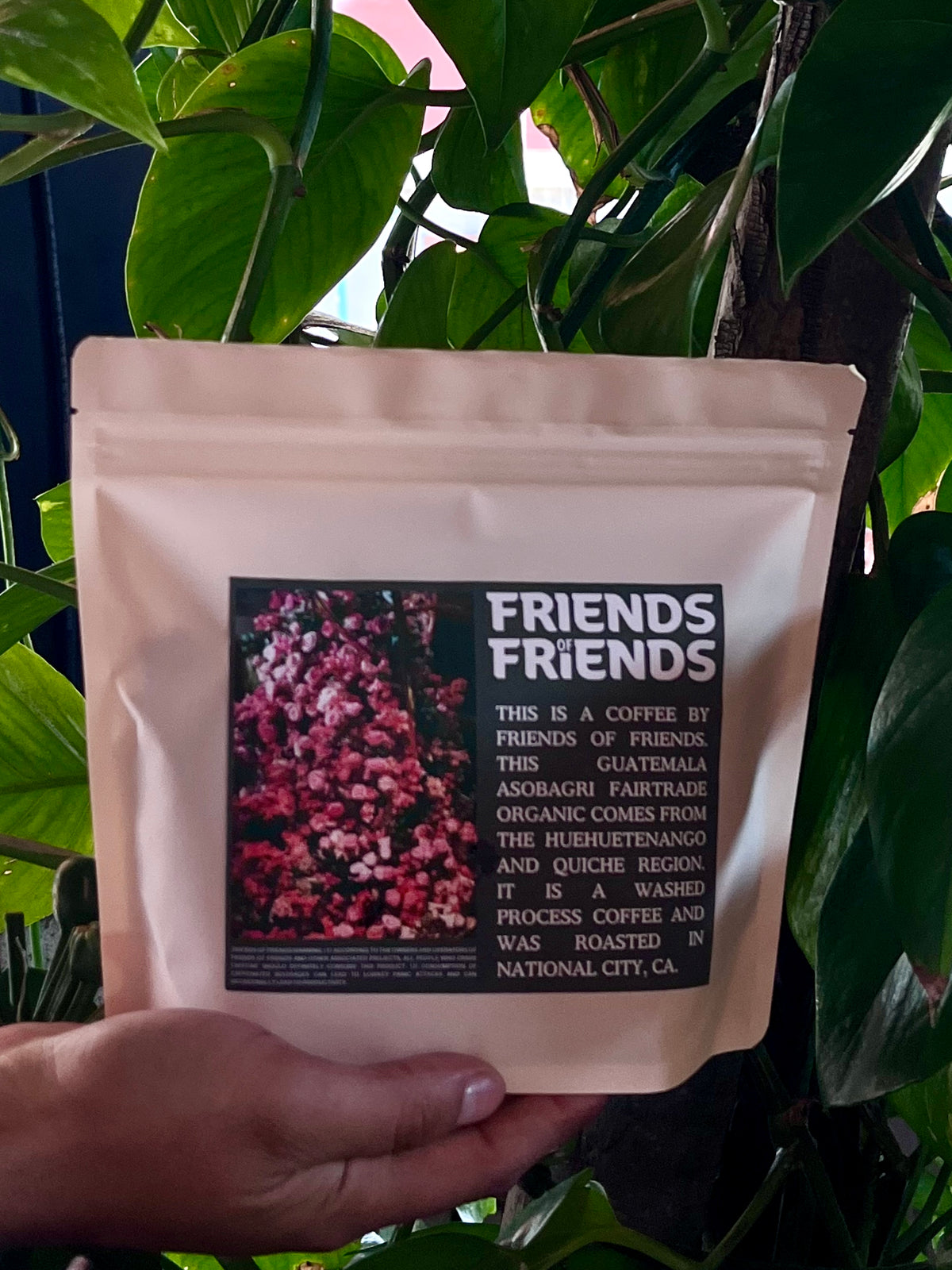 RETAIL COFFEE // HUEHUETENANGO 10 OZ